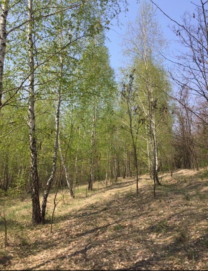 Дом Для Отдыха В Лесу Rzhyshchiv Dış mekan fotoğraf